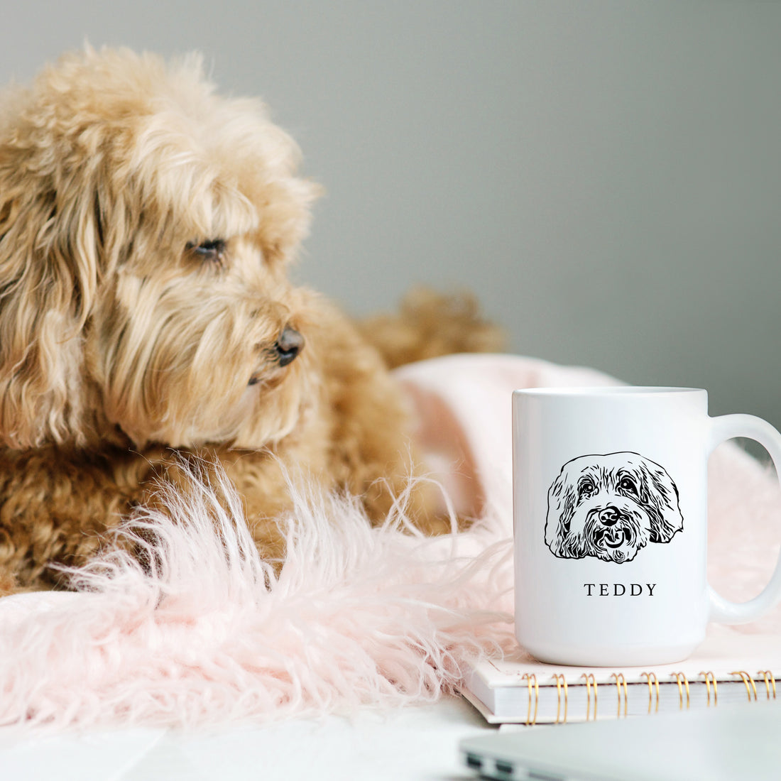 https://www.waggedtails.com/cdn/shop/products/Wagged_Tails_15oz_Mug_Teddy_42ab4c13-855b-46a6-976e-fe3a64b1b5cb_1100x.jpg?v=1704298427
